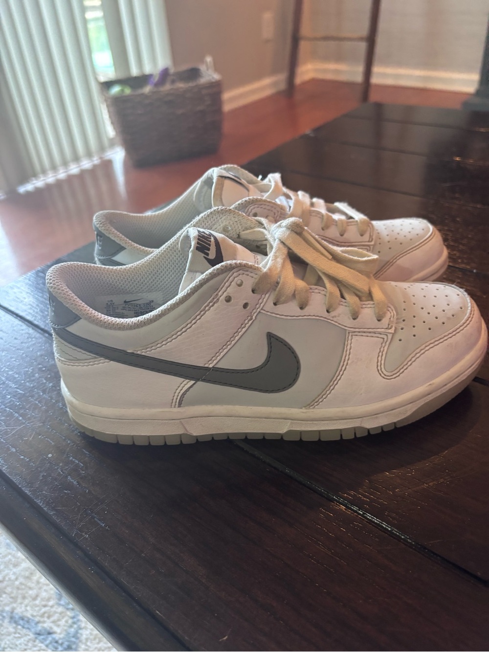 Nike Dunk Kids White and Gray Low-Top Sneakers